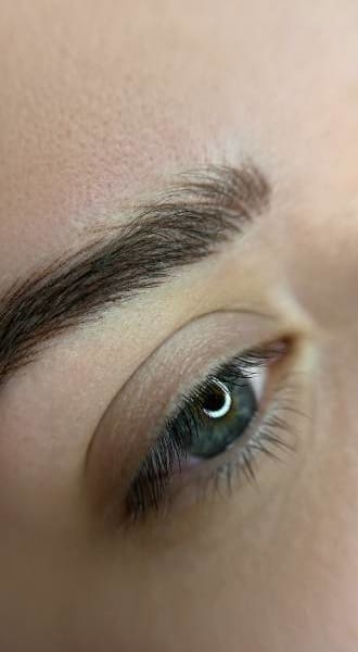 HR Plastic Surgery - Brow Lift At A Glance